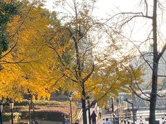 -苏州河梦清园环保主题公园