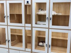 -爱洗澡的猫(天河路店)