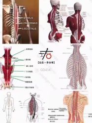 点击看大图 -易型AT20科技健康