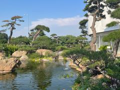 -罗红摄影艺术馆