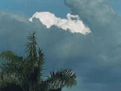 -东湖听涛景区