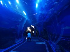 -成都浩海立方海洋公园