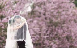 点击看大图 爱城婚纱摄影-爱城婚纱摄影·品质严选店