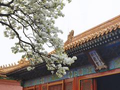 -故宫博物院(故宫)