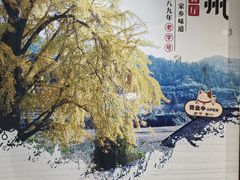-南雄雄州土菜餐厅(粤北大厦店)
