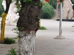 -石家庄市动物园