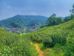 -余姚阳明温泉山庄