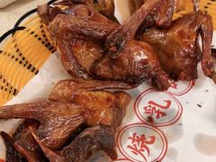 -百利鸽王(紫薇路店)