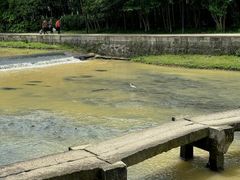 -兰亭风景区