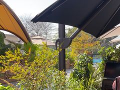 -gaga(深圳南山益田假日广场店)