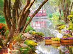 -上海共青森林公园