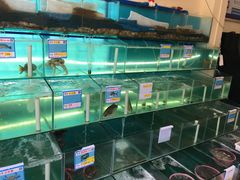 水产区-琼大师东方烤乳猪(亚特兰蒂斯店)