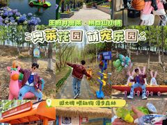 -王府井奥莱棋盘山小镇