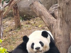 -南宁市动物园
