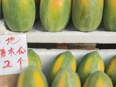 -大湾区中央湿地公园