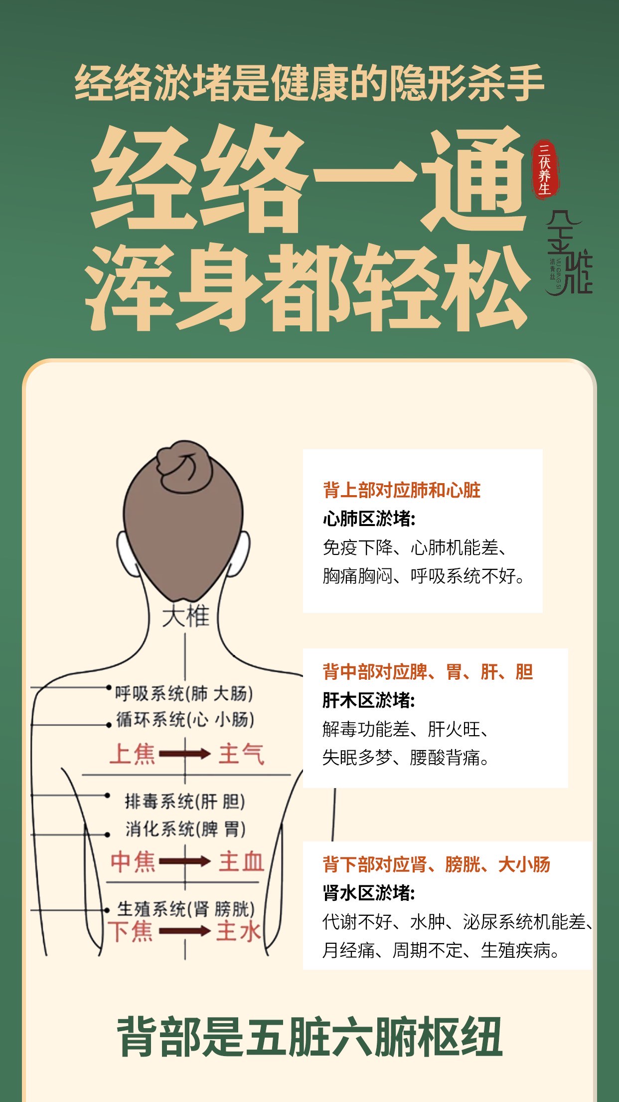 针灸同身寸全身体表图片