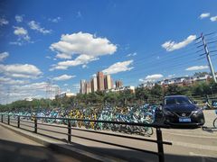 -八大碗·精致东北菜(东陵西路店)
