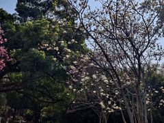 -柳侯公园