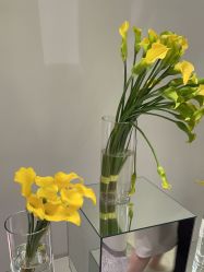 -明潪Selfology升维护理中心