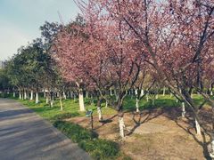-白塘生态植物园