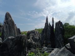 -玉石林风景区
