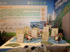 -牛街·马辈儿涮肉(牛街总店)