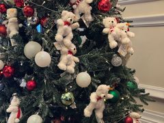 -Salon de Ville浦江汇(上海外滩华尔道夫酒店店)