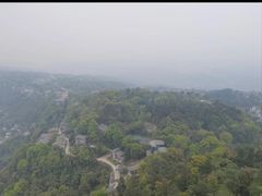 -大金鹰园