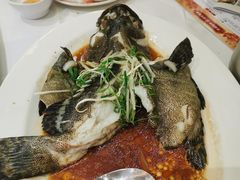 清蒸海石斑-稻香酒家(天河城店)