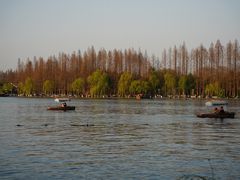 -浙江西子宾馆·牡丹厅