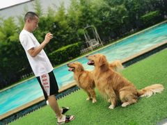 -汪说喵讲宠物乐园宠物酒店(红星美凯龙店)