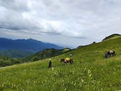 -灵山