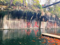 -千岛湖东南湖区