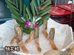 -纯味斑鱼府(中海环宇荟店)