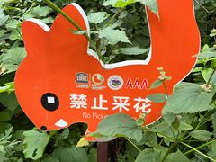 -白草畔自然风景区