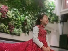 -梧桐