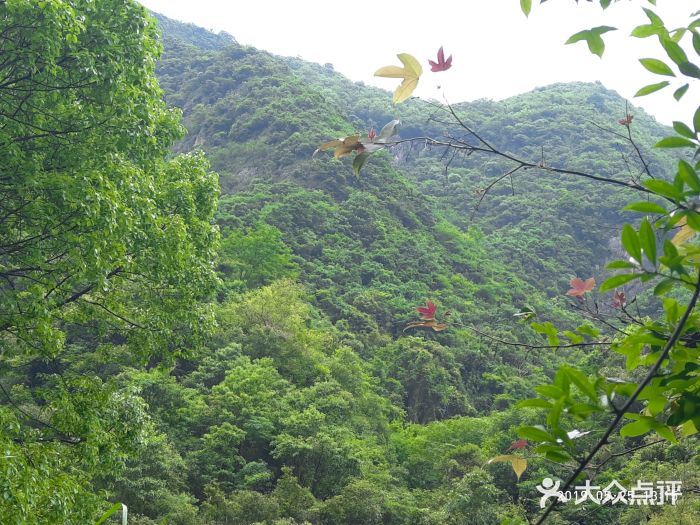 宁波五龙潭景区图片