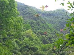 -宁波五龙潭景区