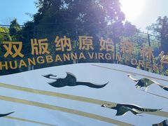 -西双版纳原始森林公园