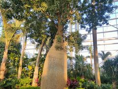 -祥源·阜阳生态乐园