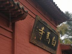 -洛阳白马寺