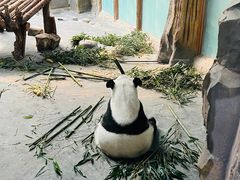 -青藏高原野生动物园