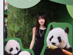 -香港海洋公园