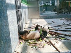 景点-西安秦岭野生动物园