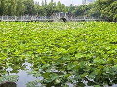-包公祠