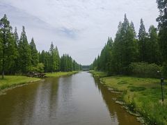 -黄海国家森林公园