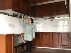 -金山农民画村-枫泾波兰倒置屋