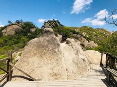 -大岭沟猕猴桃谷风景区