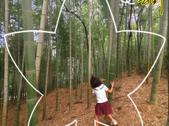 -上海佘山国家森林公园天马山园