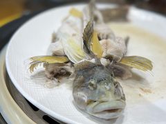 石斑鱼-77号渔船·蒸海鲜青岛菜(积米崖店)